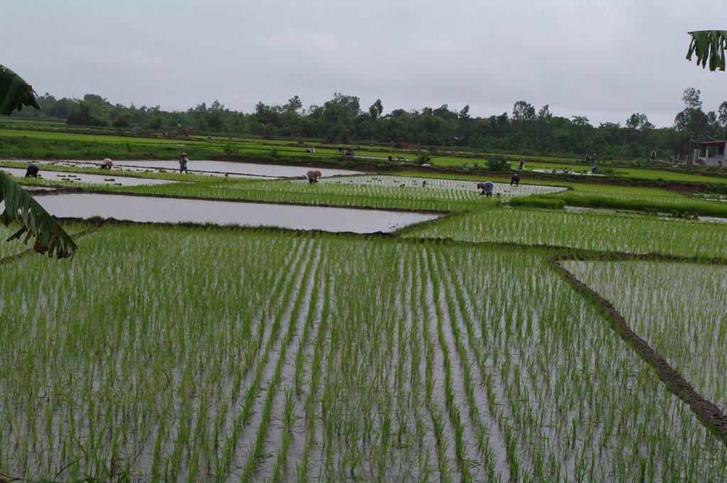 Agriculture