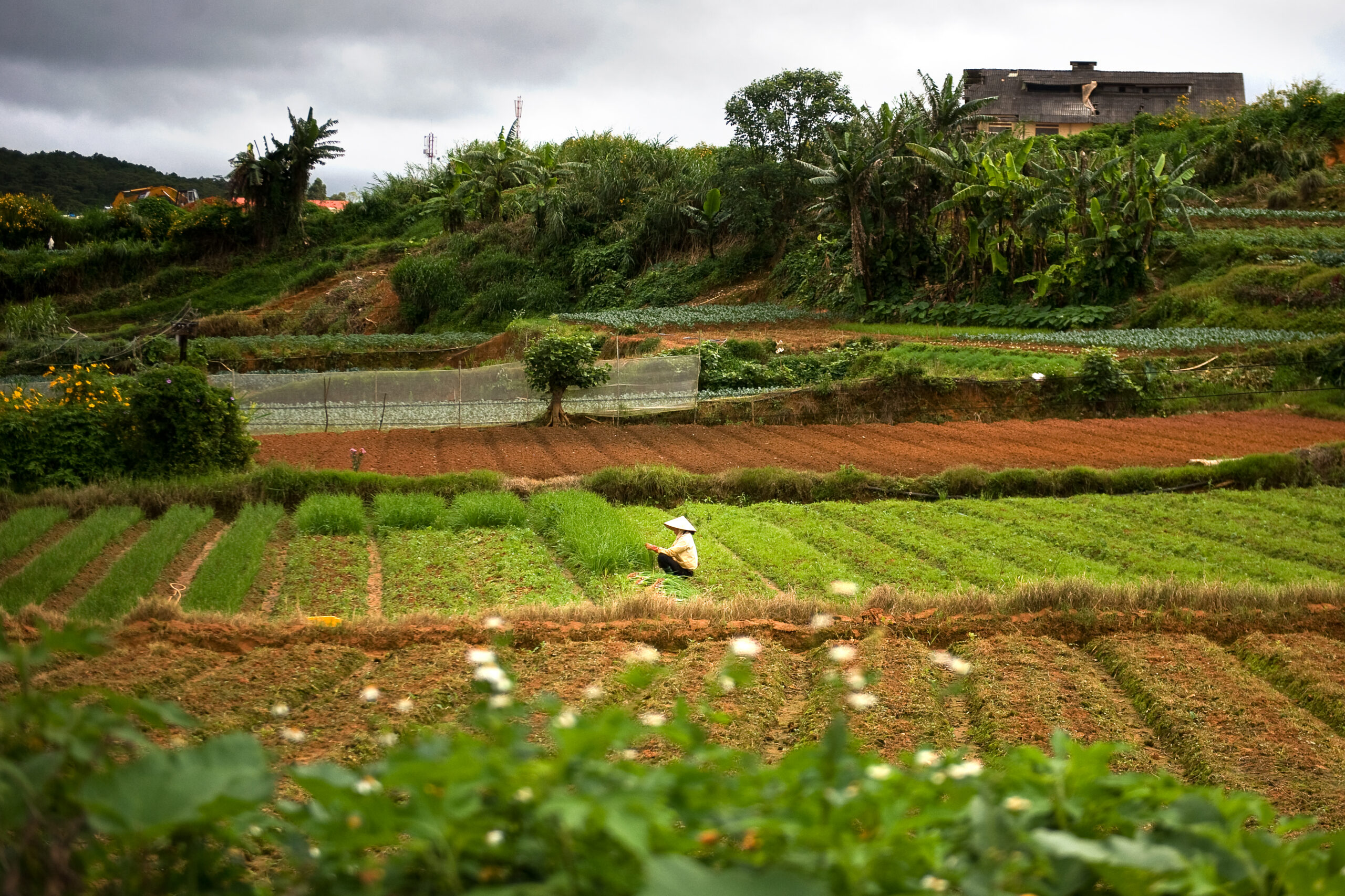 Farm land in Da Lat, Vietnam.JPG