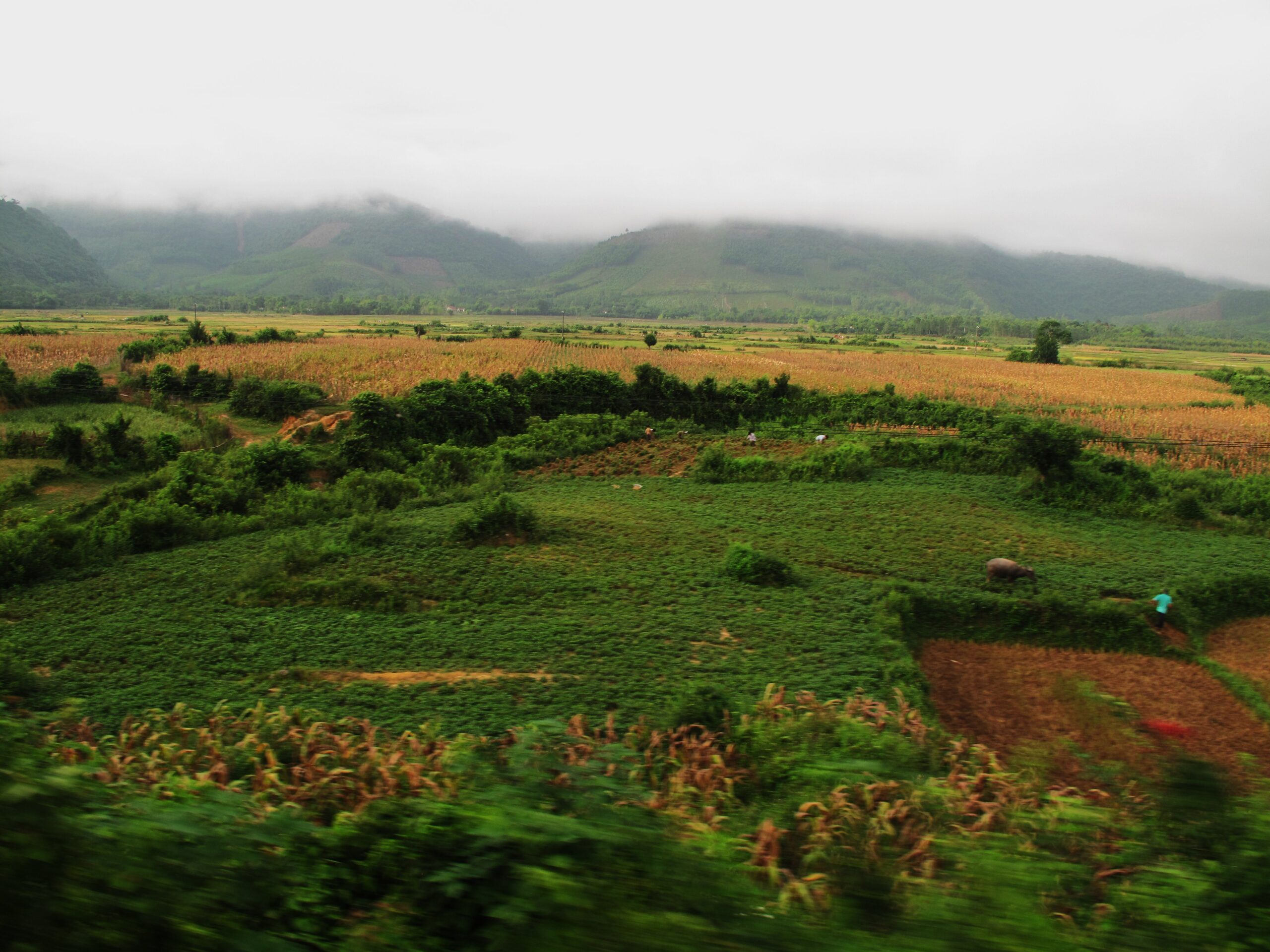 Agriculture in central region (7350544376).jpg