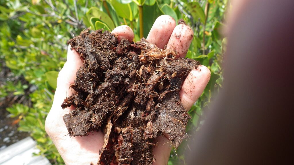 Biochar cải thiện đất – CEC, hữu cơ bền và giới hạn ứng dụng