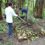 Compost – Ủ phân hữu cơ gia đình