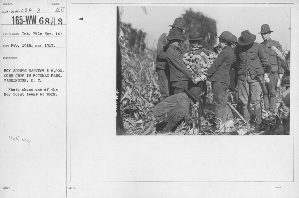 Quy trình pha và nạp thuốc bảo vệ thực vật an toàn - real field image 4