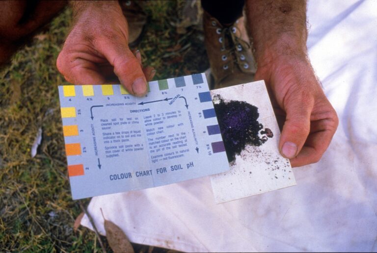 Kiểm tra đất tại vườn: lấy mẫu, đo pH-EC và diễn giải giới hạn - real field image 1