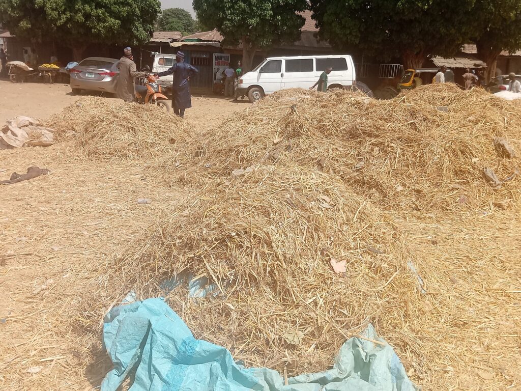 Trà compost và dịch chiết compost: quy trình, chất lượng và rủi ro - real field image 2