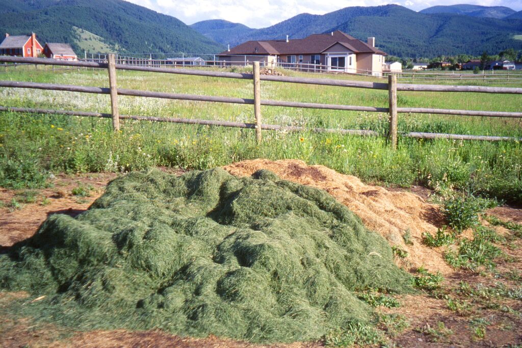 Trà compost và dịch chiết compost: quy trình, chất lượng và rủi ro - real field image 3