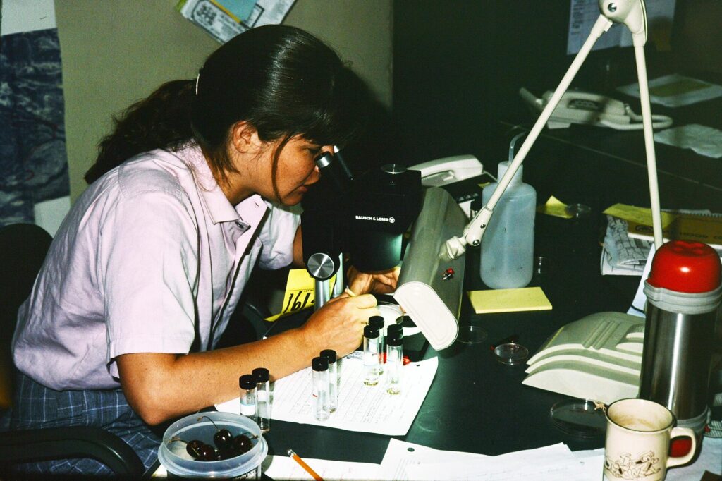 Tương thích giữa vi sinh vật có ích và thuốc bảo vệ thực vật - real field image 1