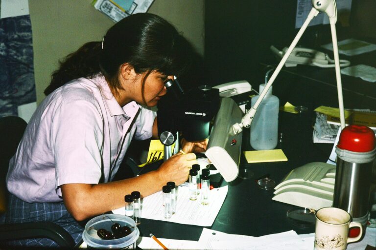 Tương thích giữa vi sinh vật có ích và thuốc bảo vệ thực vật - real field image 1
