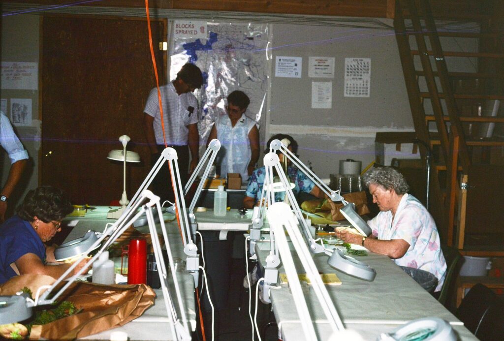 Tương thích giữa vi sinh vật có ích và thuốc bảo vệ thực vật - real field image 4