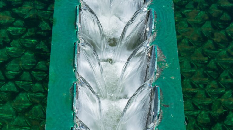 Quy trình đánh giá và xử lý nước tưới cho cây trồng - real field image 1